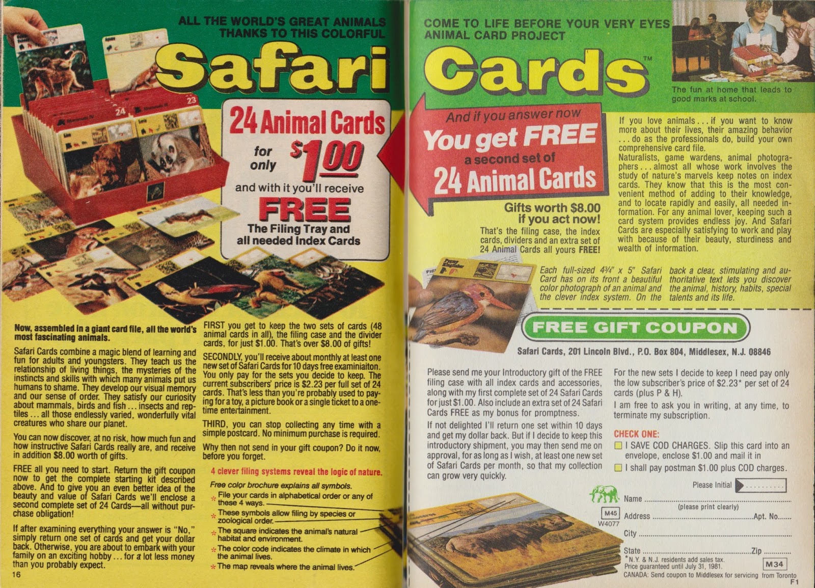 safari cards complete set